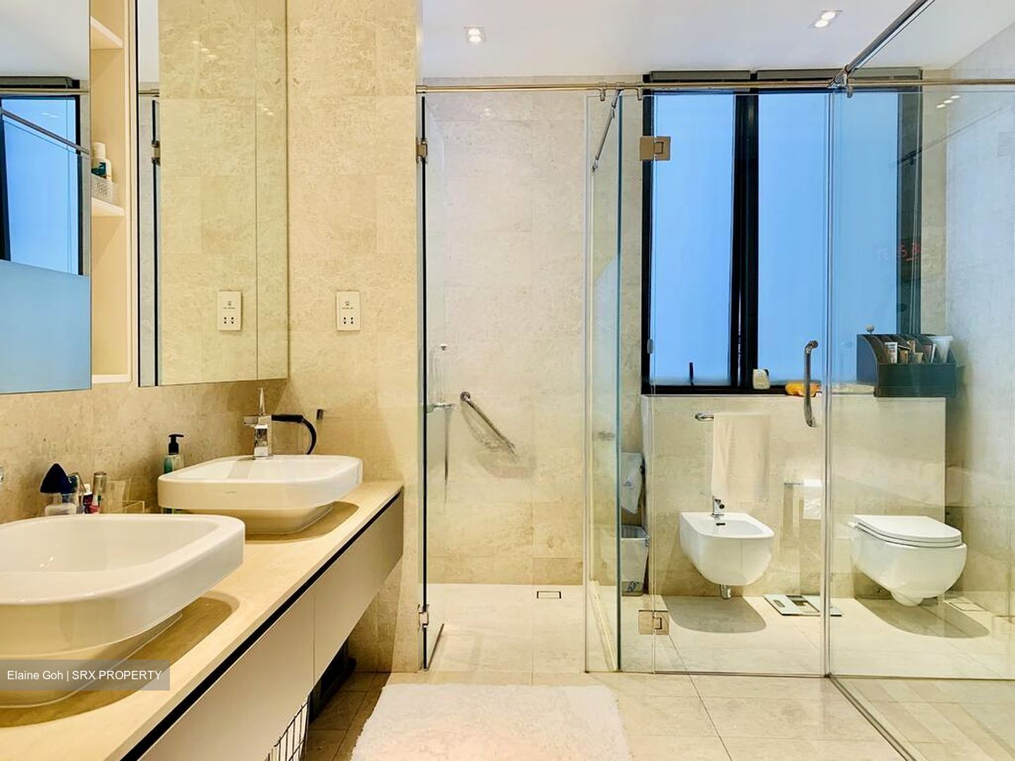 Trilight (D11), Condominium #439522091